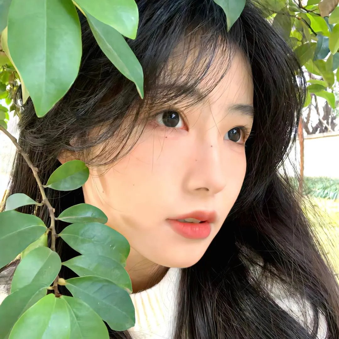 欢乐今宵梅姑姑